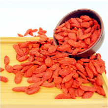 Baie de Goji biologique Super Grade